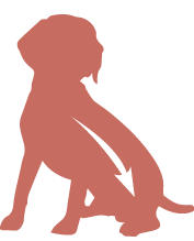 Product Icon