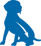 Product Icon