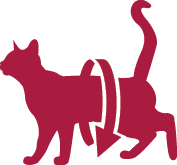 Product Icon