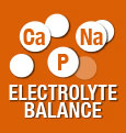 Product Icon