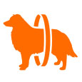 Product Icon