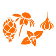 Product Icon