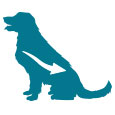 Product Icon