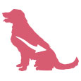 Product Icon