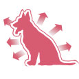 Product Icon