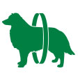 Product Icon