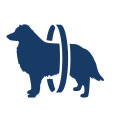 Product Icon
