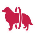 Product Icon