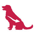 Product Icon