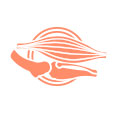 Product Icon