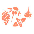 Product Icon