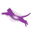Product Icon