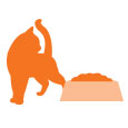Product Icon