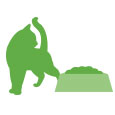 Product Icon
