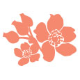 Product Icon