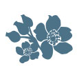 Product Icon