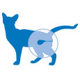 Product Icon