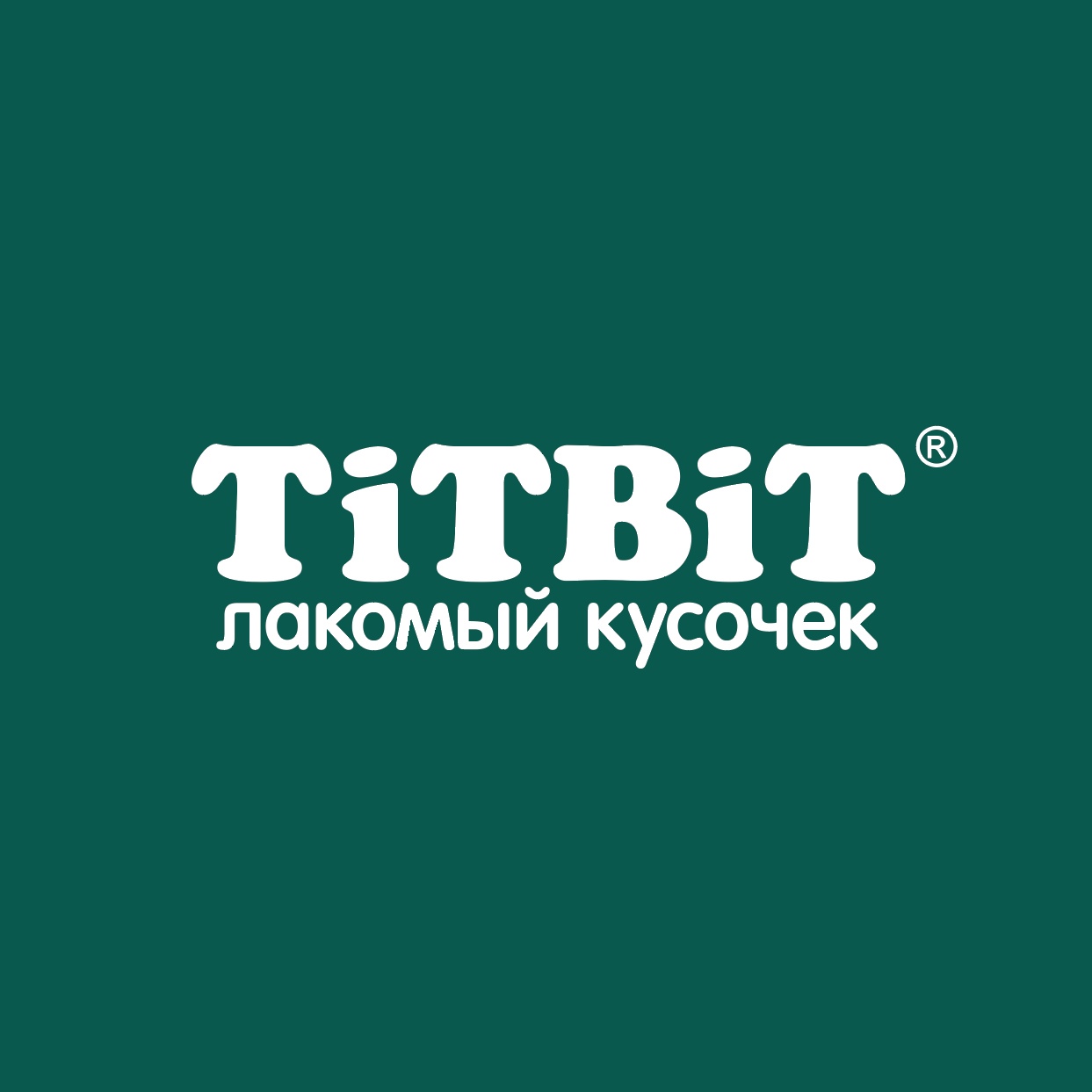 Titbit Logo