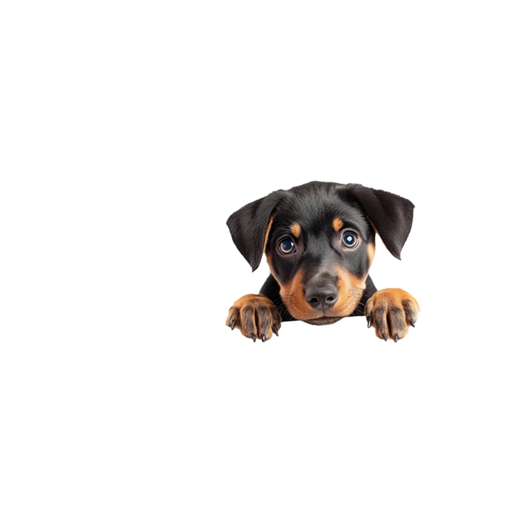 Dog Image