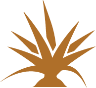 Product Icon