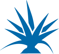 Product Icon