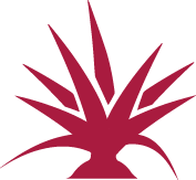 Product Icon